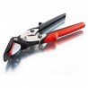 Tvirtinimo juostų kirpimo žirklės BESSEY D123S-Kirpimo replės-Replės-Bessey-irankiai-darbui